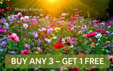 FLOWER MEADOW WILDFLOWER MIX -