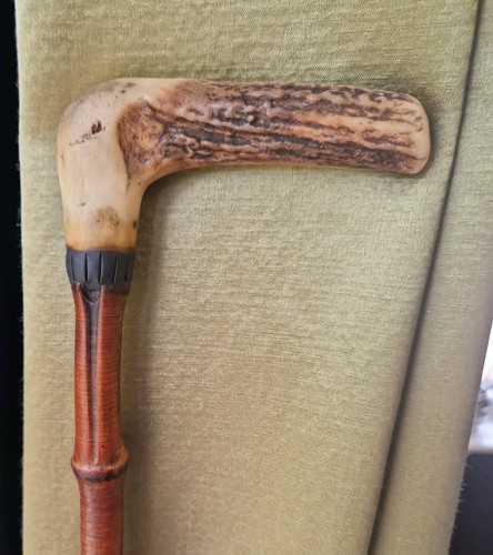 Antique walking stick - antique,