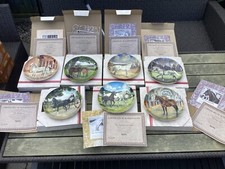 Spode the noble horse