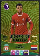 Panini Adrenalyn XL 2023-24