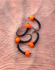 5 x Dogs Bollox Bollocks