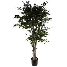 Artificial Plant Ruscus Tree-
