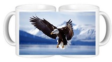Bald Eagle Birds Ceramic Coffee Mug In A Smash Proof Box
