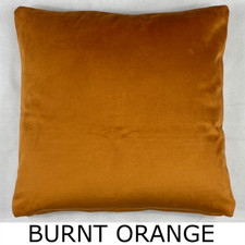Premium Plush Velvet Cushion