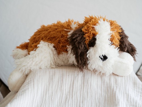 Jellycat floofie bernard - floofie,