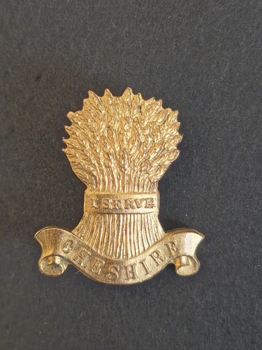 Vintage cheshire girl guides - cheshire,
