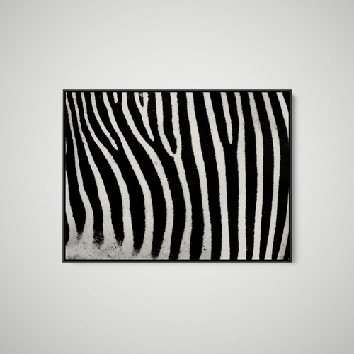 Artographie zebra stripe - -,