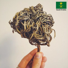 Maryam flower | Nabi booty