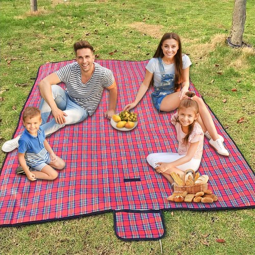 Extra large tartan picnic - extra,