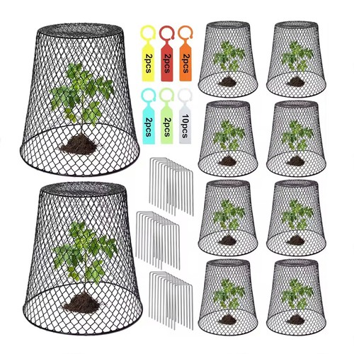 Pack chicken wire cloches - chicken,