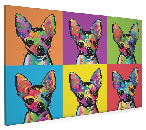 Chihuahua box canvas and - box,