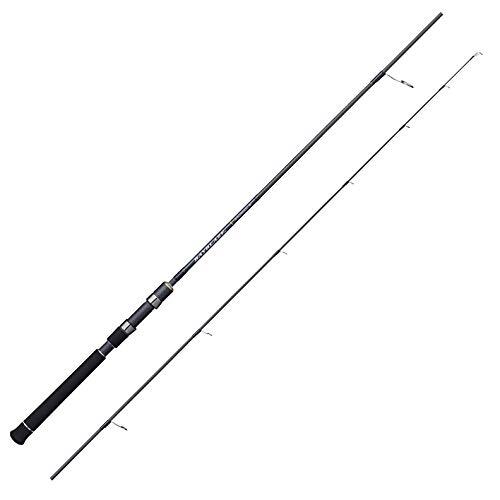 Tenryu spinning rod bayblaze - tenryu,