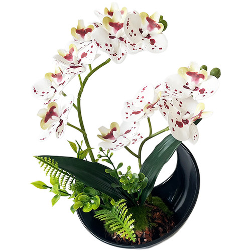 Realistic looking phalaenopsis - looking,