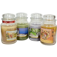 Yankee Candle Lot Wild Sea