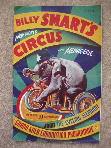 Billy smarts new world - billy,