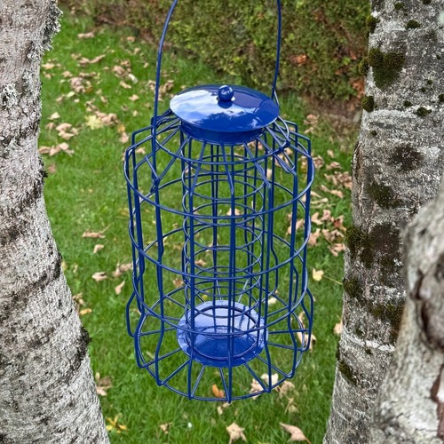 Hanging squirrel proof suet - hanging,