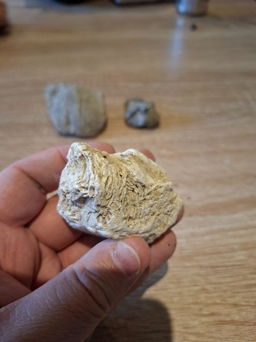 Small natural fossil specimen - small,