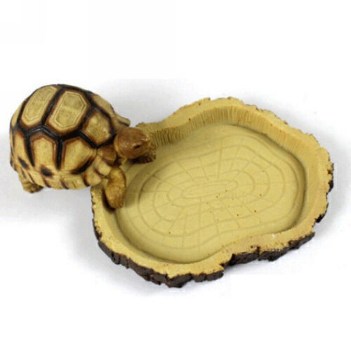 Reptile resin feeding - feeding, bowl