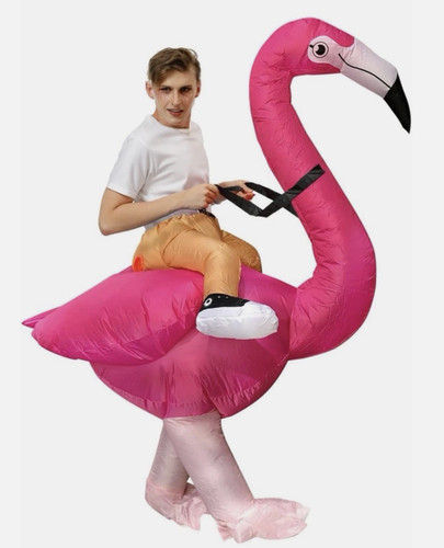 Flamingo costume inflatable - costume,