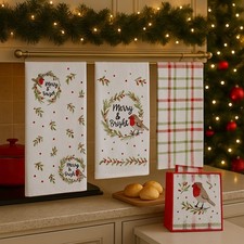 Winter Robin Design Set of 3