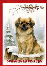 Tibetan Spaniel Dog A6 (4" x