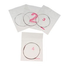 Set of 4 Professional Liuqin