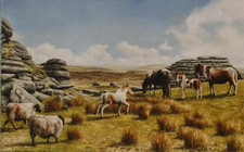 David William Young - Oil