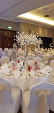 chair covers for wedding HIRE