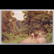 Vintage Postcard Devonshire