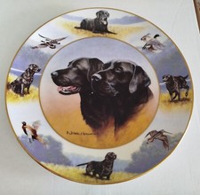 Royal doulton  "the sporting Life" by Nigel hemming Ltd Edition collectors Plate