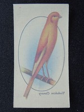 YORKSHIRE CANARY Aviary & Cage Birds TRANSFERS - Published by John Player 1933