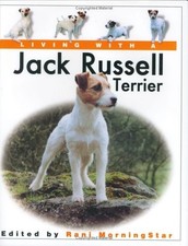 Living with a Jack Russell