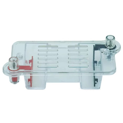 Teaching electrophoresis - teaching,