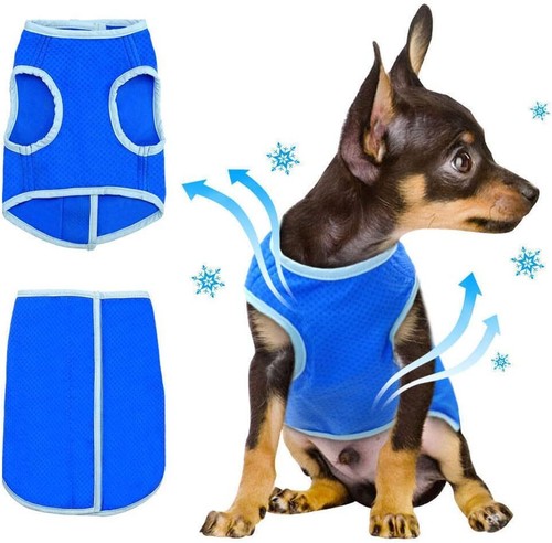 Crufts pets cooling vests for - vests,