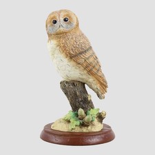Tawny Owl With Acorns Border