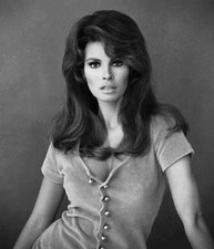 Iconic Actress Raquel Welch