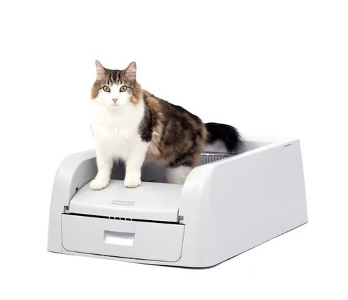 Petsafe scoopfree clay - scoopfree,