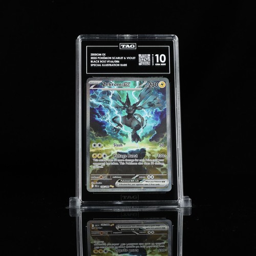 2025 pokemon zekrom ex - -,