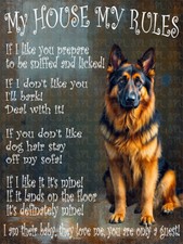 German Shepherd Dog My House