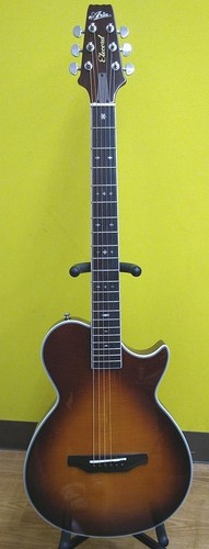 Aria ape 100 electro acoustic - aria,