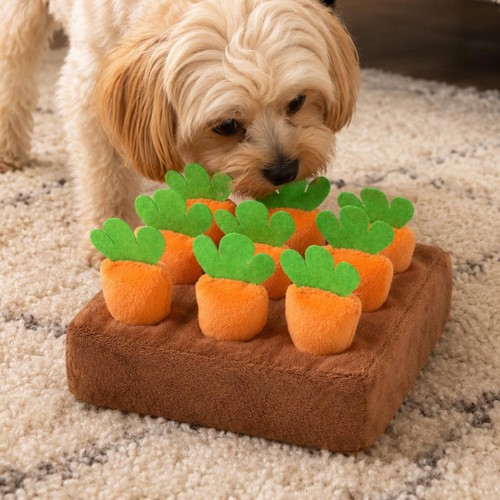 Carrot snuffle mat interactive - snuffle,
