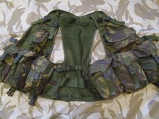 Wyvern ALL ARMS Army ASSAULT VEST Combat Desert DPM chest rig webbing Tac sass