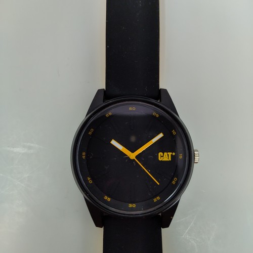 Cat men watch - men,
