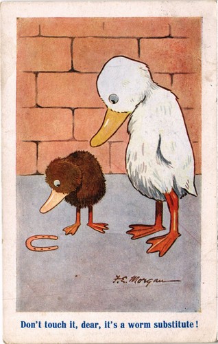Artist signed birds ducks - pc,