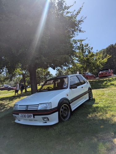 Peugeot 205 gti - peugeot, white