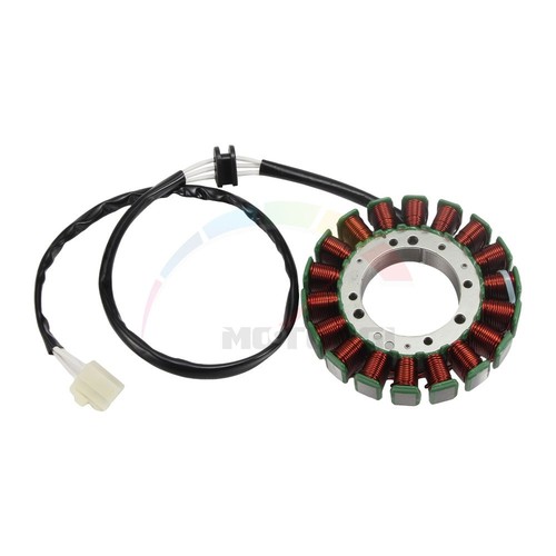 Generator stator coil - stator, for