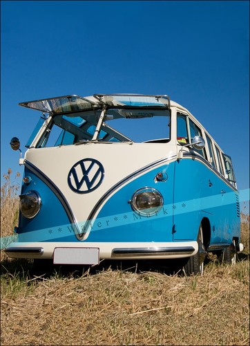 Kombi 1961 mexican car - mexican,