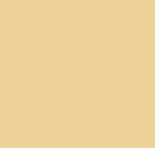 Leather shoe paint for - shoe,