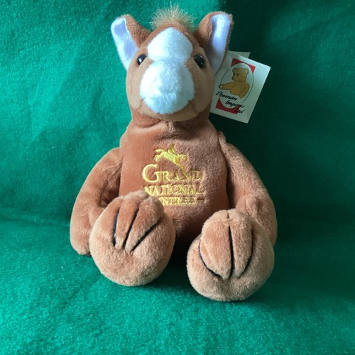 Grand national horse - grand, race