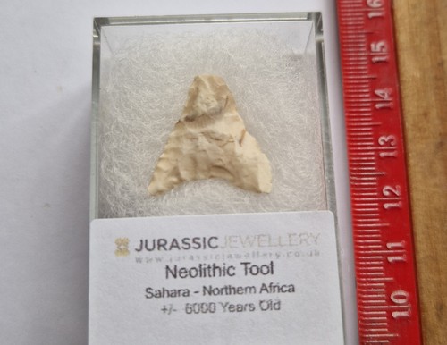 Stunning neolithic flint tool - neolithic,